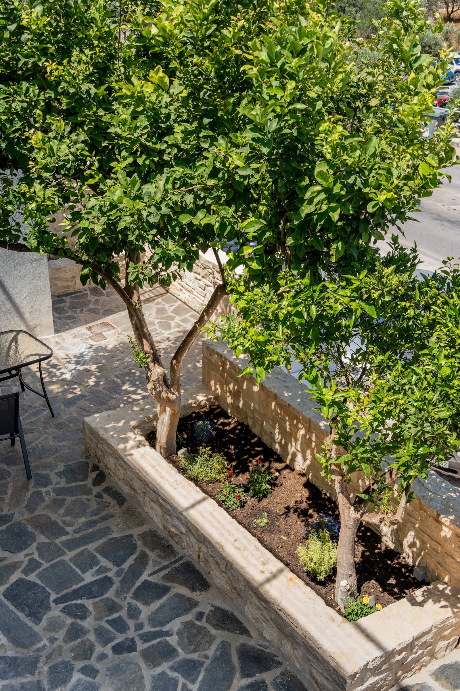 Outdoor space - Photo 21
